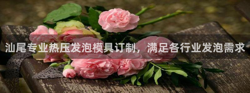 emc易倍电竞：汕尾专业热压发泡模具订制，满足各行业发泡