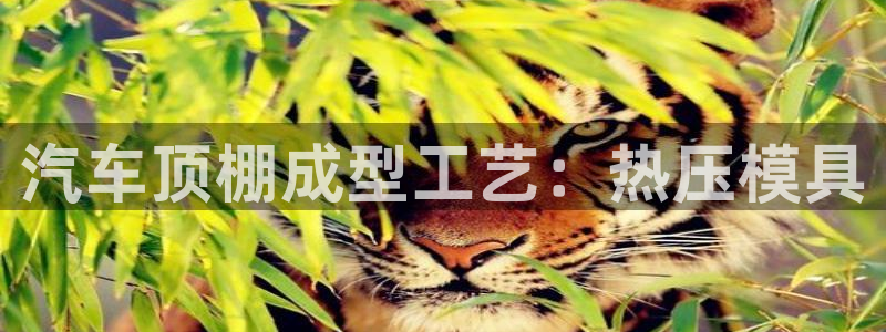emc频率