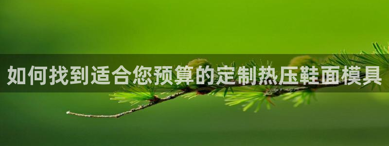 EMC易倍让身份验证