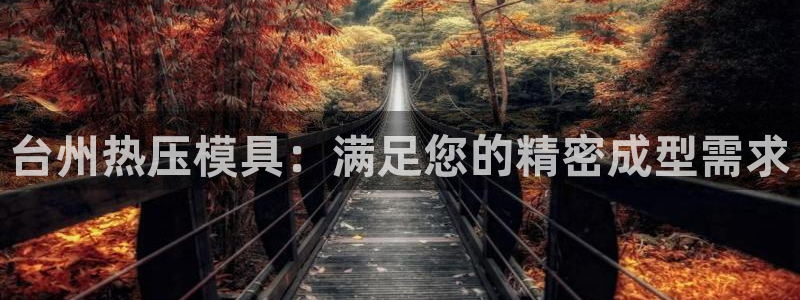 易倍单词app官网：台州热压模具：满足您的精密成型需求