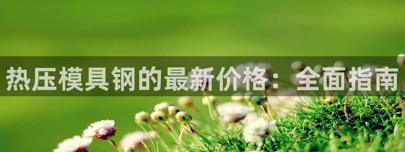 易倍EMC网址：热压模具钢的最新价格：全面指南