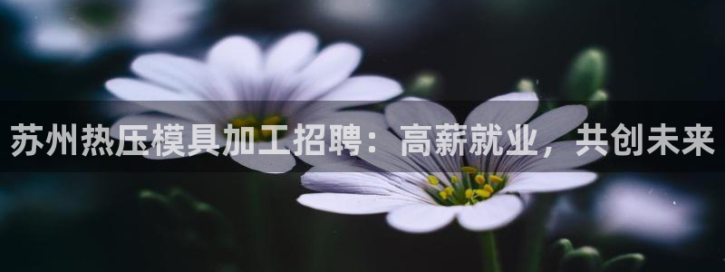 易倍申多少钱：苏州热压模具加工招聘：高薪就业，共创未来