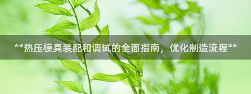 emc平台：**热压模具装配和调试的全面指南，优化制造流