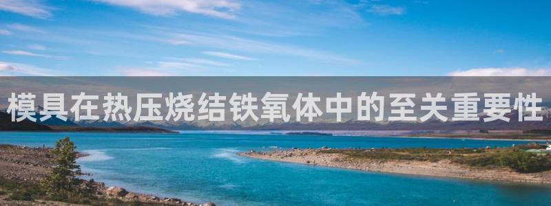 易倍申怎么样