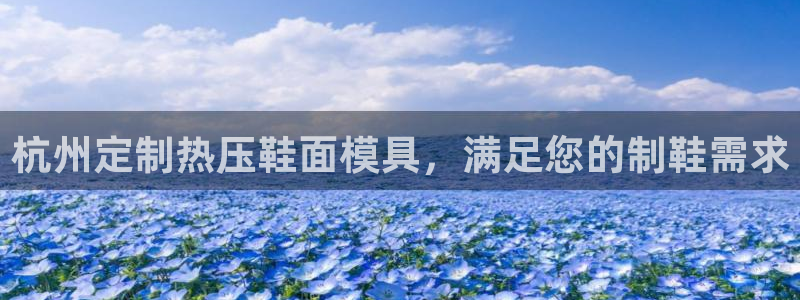 emc备份软件