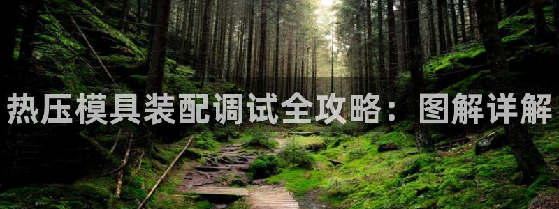 易倍网络技术有限公司官网