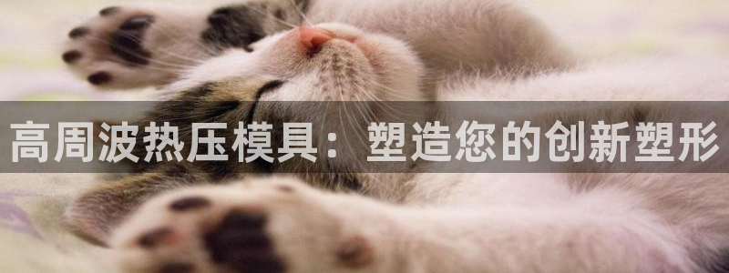 易倍申片说明书：高周波热压模具：塑造您的创新塑形