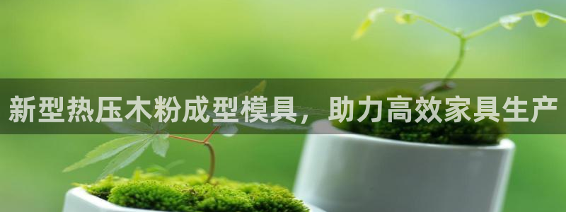 易倍单词app下载：新型热压木粉成型模具，助力高效家具生