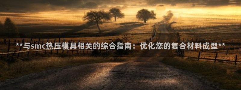 emc倍频干扰：**与smc热压模具相关的综合指南：优化