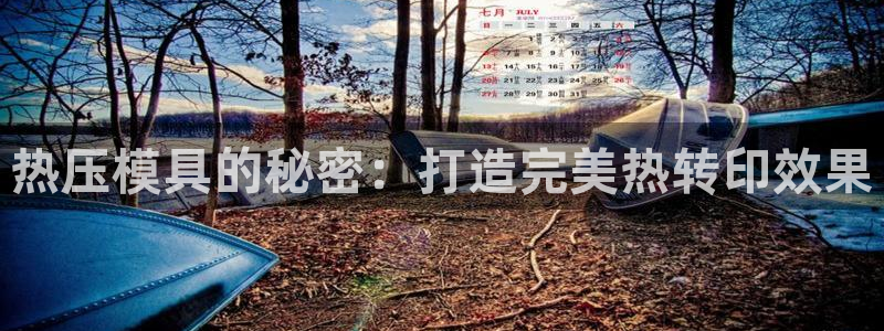 易倍emc全站：热压模具的秘密：打造完美热转印效果