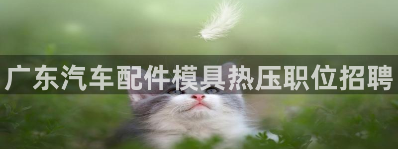 emc下载