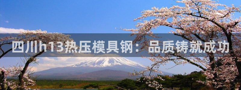 emc易赔