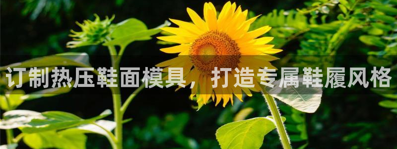 易倍单词官方网站登录
