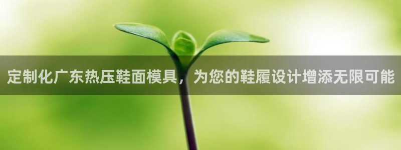 emc易倍网站是多少