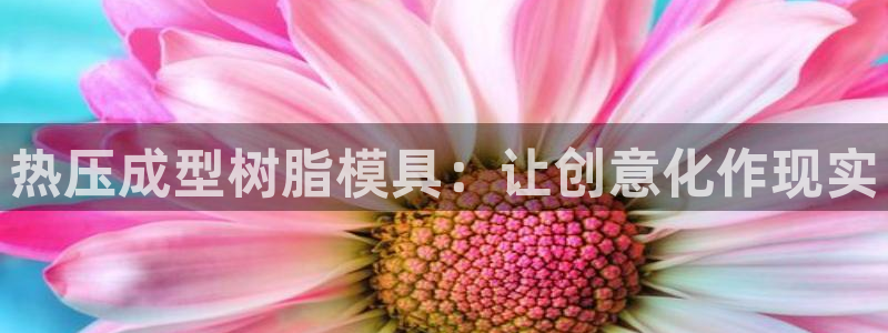 EMC易倍：热压成型树脂模具：让创意化作现实