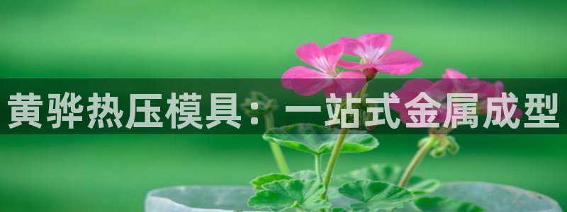 易倍纤减肥价格