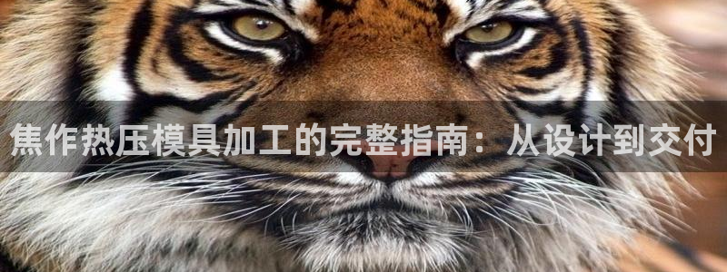 易倍单词登录网站：焦作热压模具加工的完整指南：从设计到交