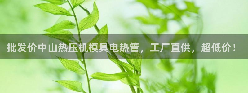 易倍申厂家