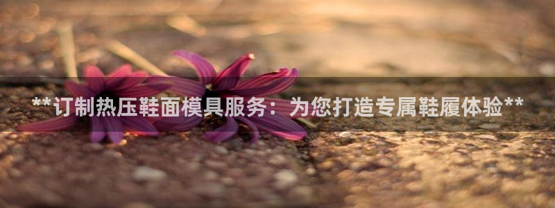 emc易倍官方：**订制热压鞋面模具服务：为您打造专属鞋