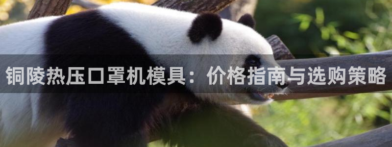 易倍申多少钱一盒