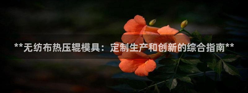 emc下载：**无纺布热压辊模具：定制生产和创新的综合指