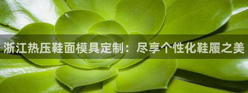 易倍思机电制造(上海)有限公司：浙江热压鞋面模具定制：尽