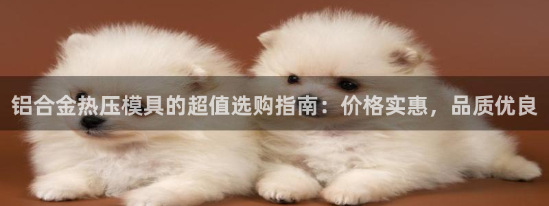 EMC易倍官方平台：铝合金热压模具的超值选购指南：价格实