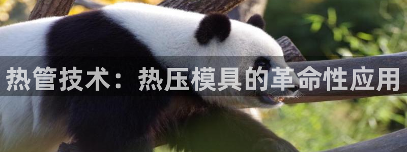 易倍网络技术有限公司招聘