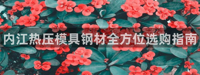 emc服务器是什么