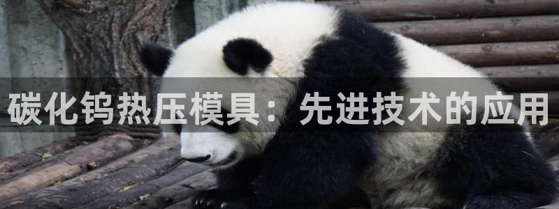 易倍单词登录网站