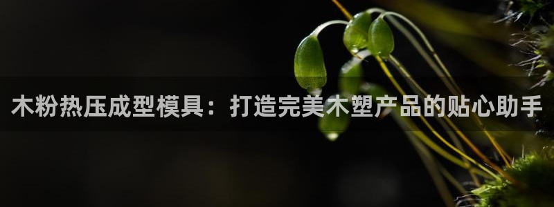 易倍申效果怎么样