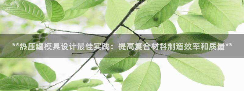 EMC易倍官网招聘：**热压罐模具设计最佳实践：提高复合