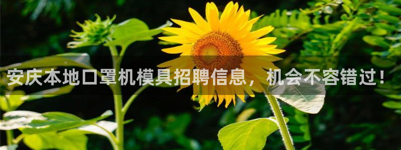Emc易赔体育