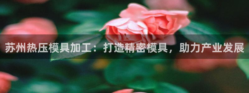 易倍单词软件