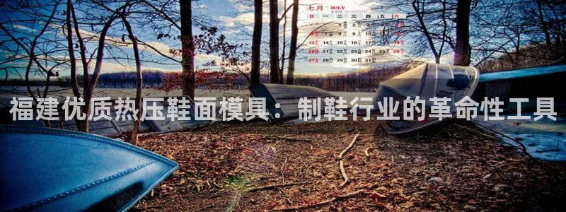 易倍思机电制造(上海)有限公司：福建优质热压鞋面模具：制