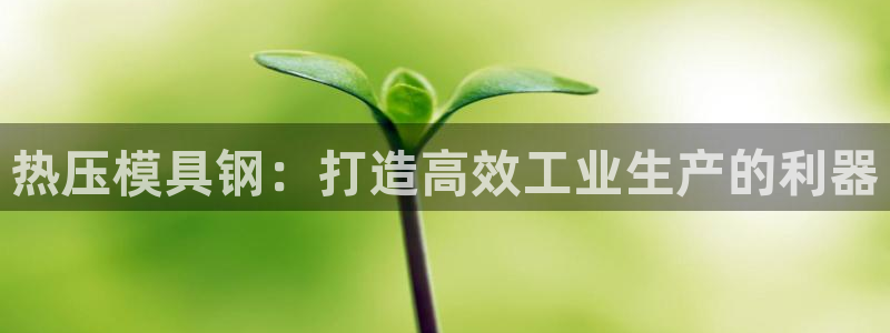 易倍单词app官网