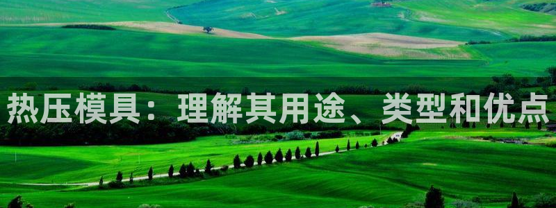 emc倍频只能是奇数倍吗：热压模具：理解其用途、类型和优