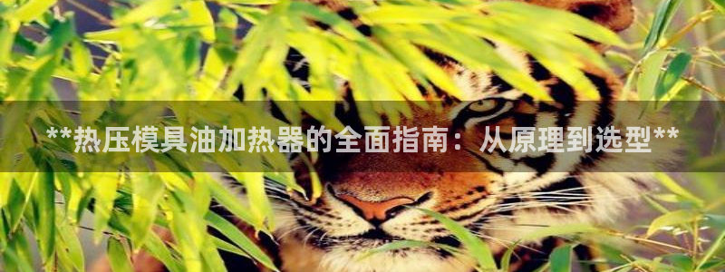 emc易倍官方：**热压模具油加热器的全面指南：从原理到