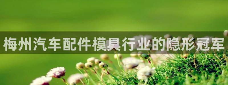 EMC倍频是什么意思