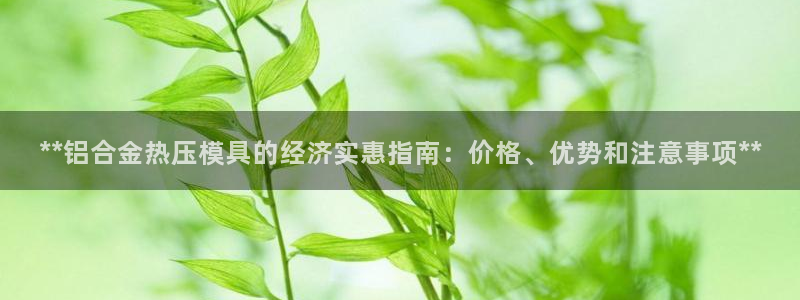 emc易倍官方平：**铝合金热压模具的经济实惠指南：价格