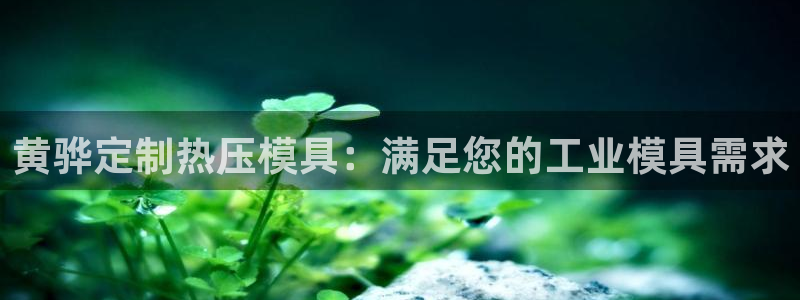 易倍单词平台：黄骅定制热压模具：满足您的工业模具需求