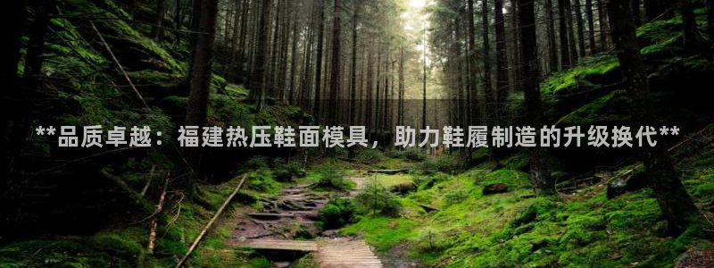 emc易倍app官网下载：**品质卓越：福建热压鞋面模具