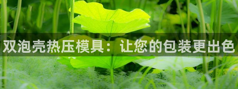 emc参数