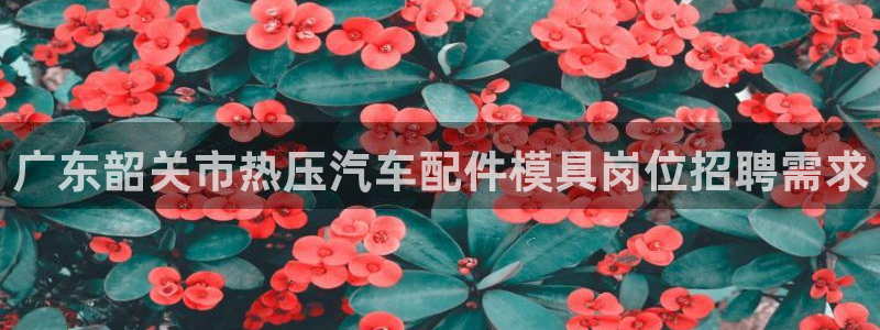 emc易倍全站