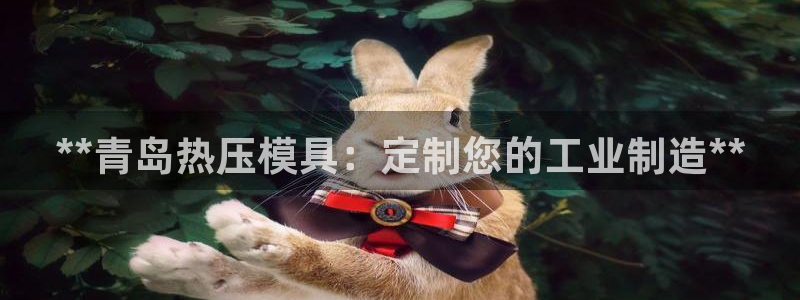 emc倍频：**青岛热压模具：定制您的工业制造**