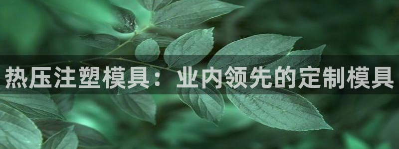 易倍纤代餐粉能减肥吗：热压注塑模具：业内领先的定制模具