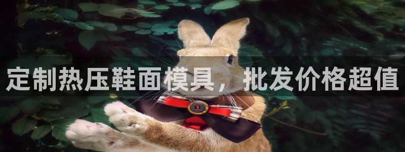 武汉易倍捷科技有限公司：定制热压鞋面模具，批发价格超值