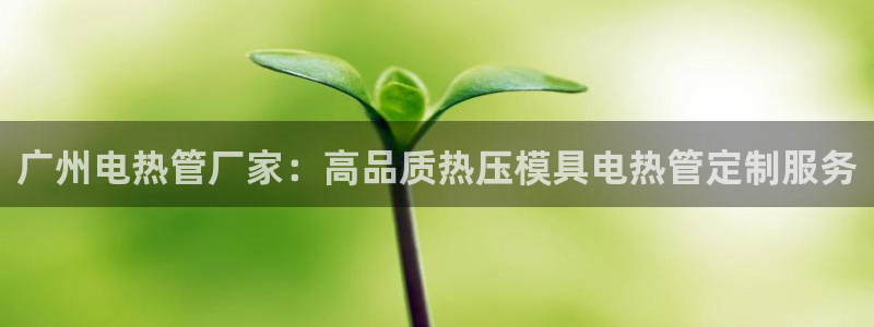 易倍申多少钱一盒