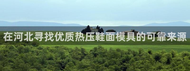 emc高频比低频好改：在河北寻找优质热压鞋面模具的可靠来