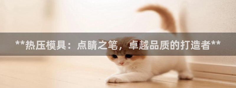 emc倍频：**热压模具：点睛之笔，卓越品质的打造者**
